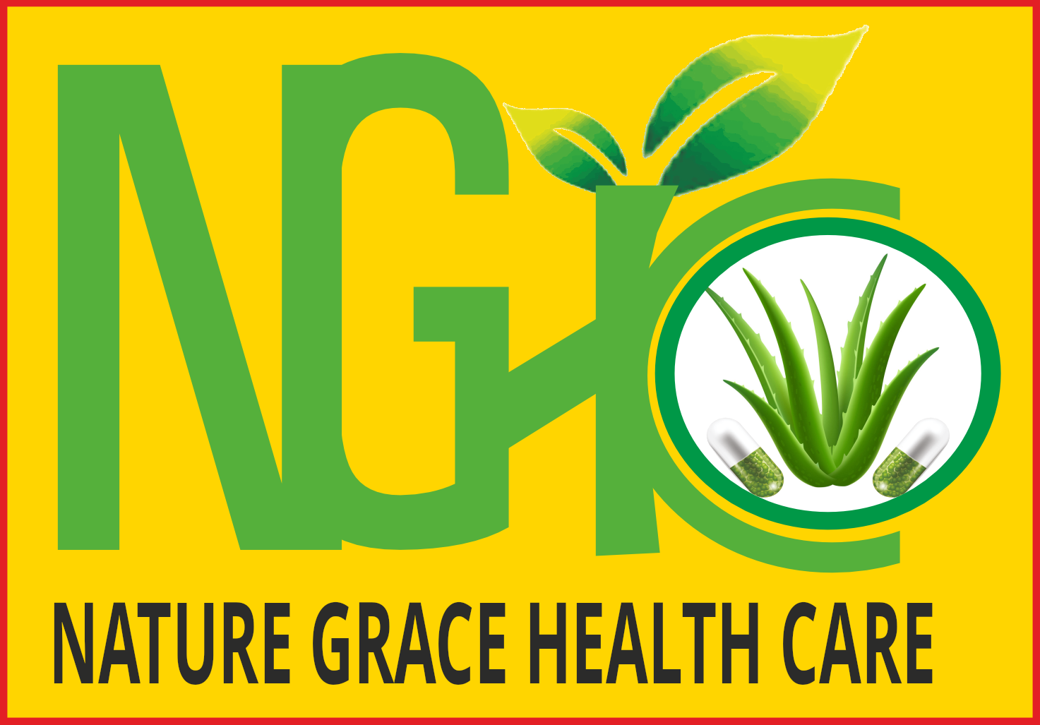 Nature Grace Health Care logo, offering herbal medicines and natural spices manufacturer